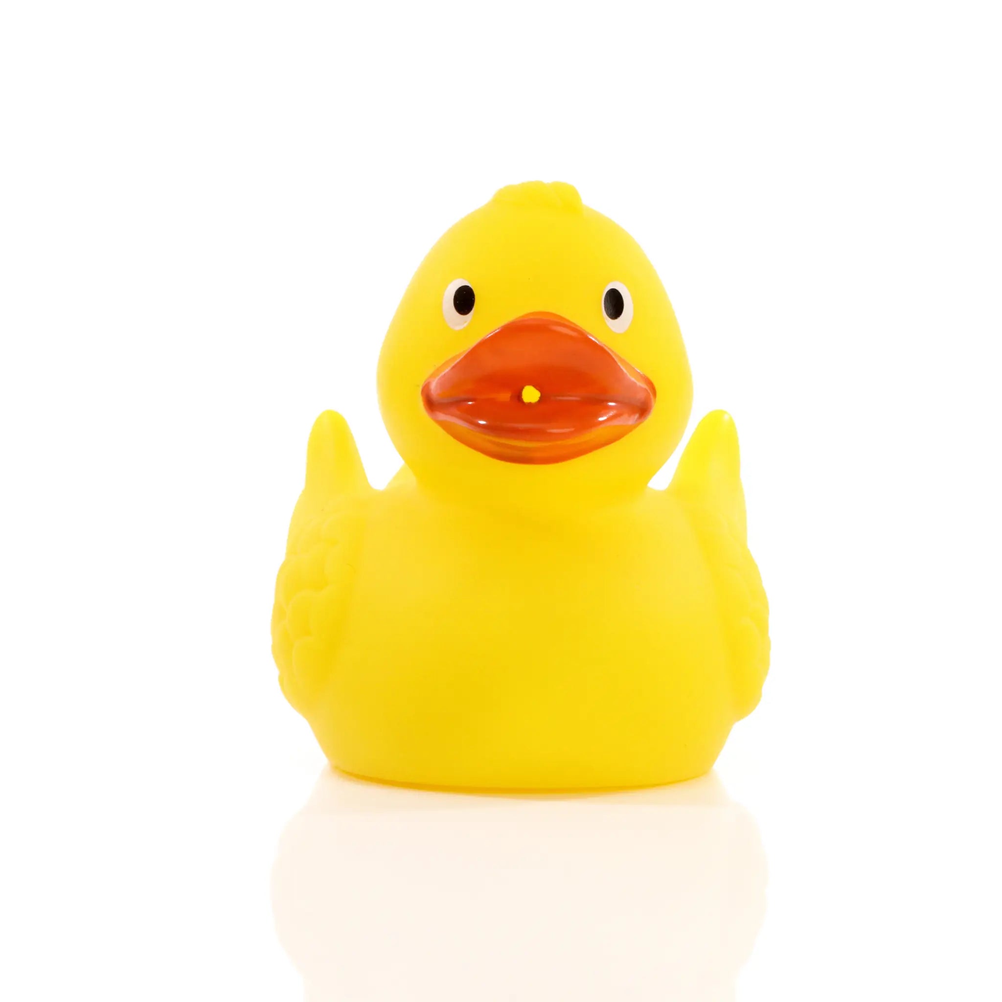 all-groups Schnabels Racing Duck With Metal Plate
